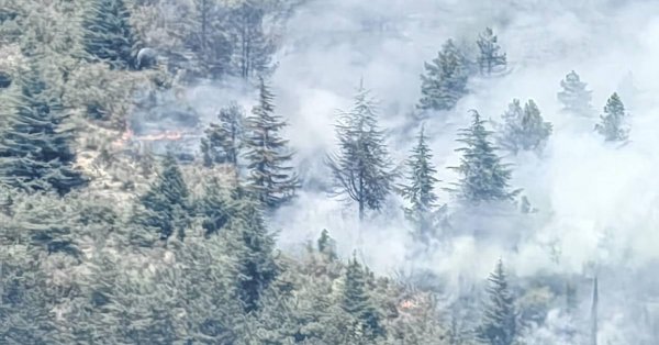 Зажженная свалка над районом Комлуки вызвала огонь рядом с Sliven