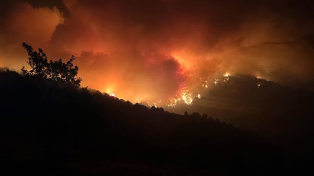 Болгария занимает второе место в ЕС на территориях, пострадавших от пожаров в 2024 году.