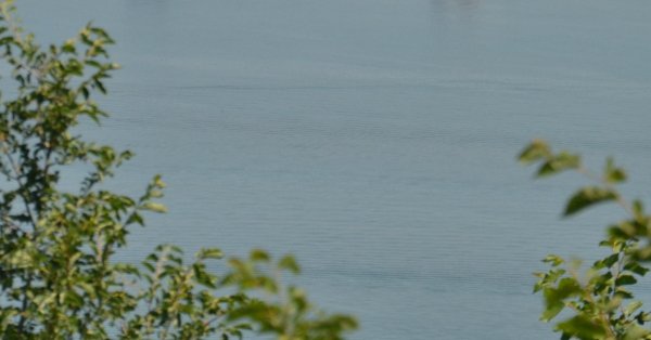 Поиск болгарства после погружения в озере Охрид