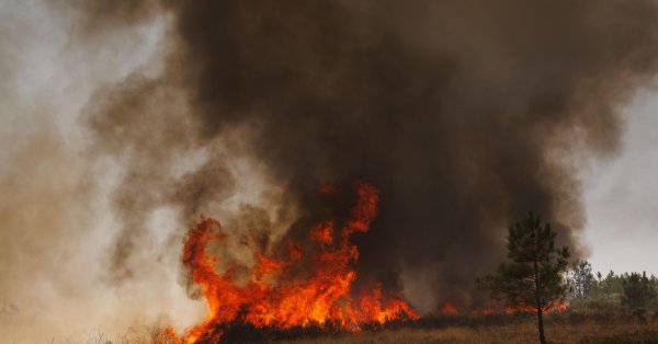 Борьба с лесными пожарами продолжается в Греции