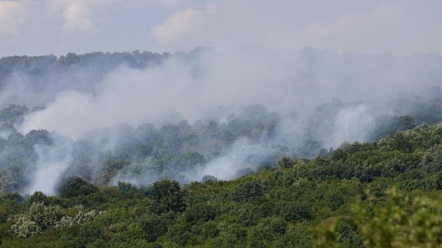 Стелиан Димитров: наша страна остается особенно уязвимой для пожаров
