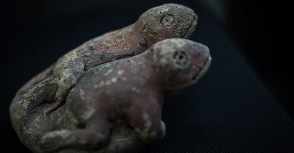 Скульптура лягушки в Перу раскрывает разрушение древнего города, вызванного изменением климата