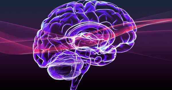 9 уловок для лучшей памяти