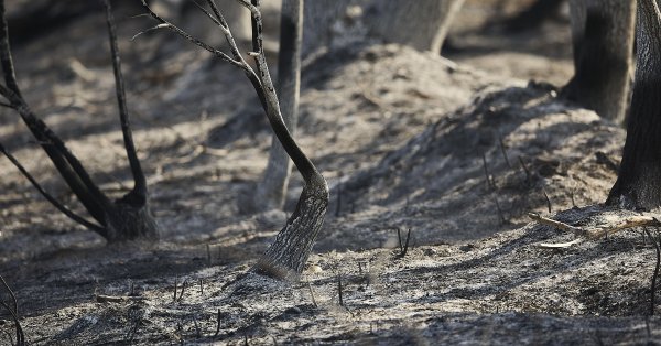 Испания Бернс и министр шутки: все становится горячим