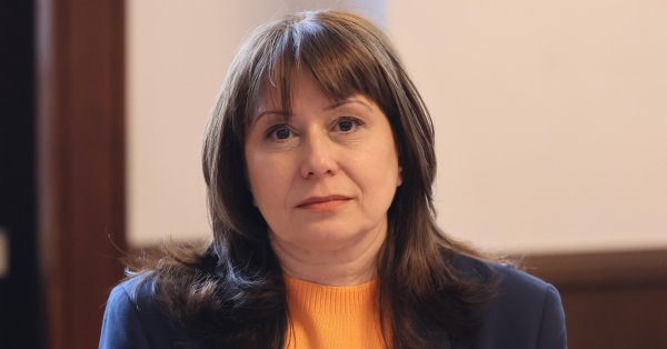 Дельчева: Омбудсмену нет места в домашней книге