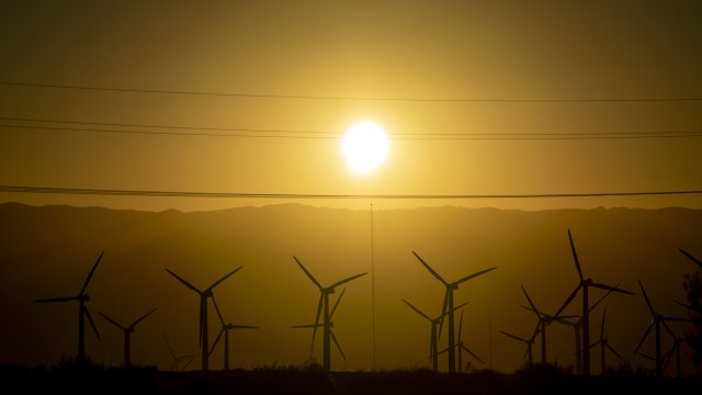 Эра безрассудных ставок на углеродную нейтралитет закончилась