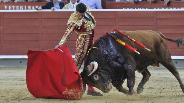 Кадр дня на 12 сентября