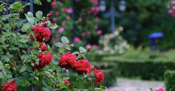 Время сегодня: остается тепло, в местах оно будет перегружено