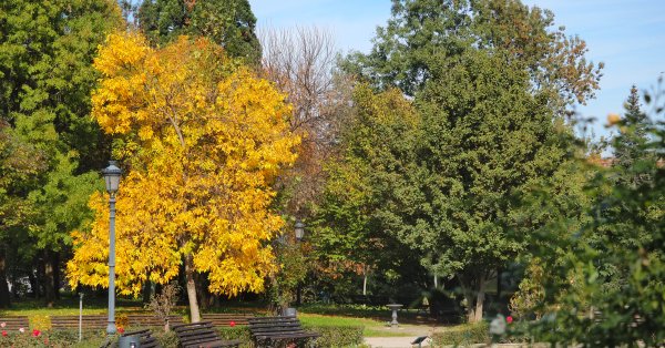 И завтрашняя погода нас ждет солнечная погода, в местах до 32 °