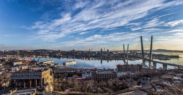 Болгарский поселился в России, использовал указ Путина для людей «разделяющих российские ценности»