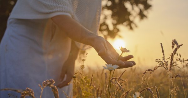 Фразы, которые показывают, что вы отказались от своего счастья