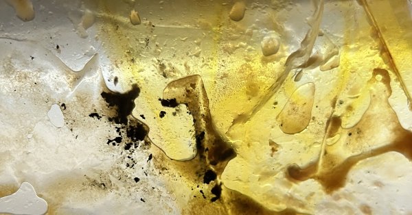 Еда, которую мы едим: мясо из грязных подносов, избалованное молоко, сок с жирным веществом ...