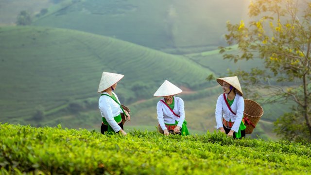 Какие 10 самых дешевых и самых дорогих стран в мире в 2025 году, по словам эмигрантов?