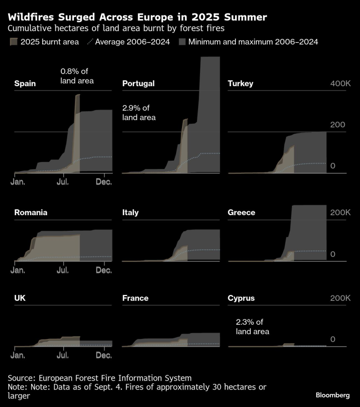 Лесные пожары выросли