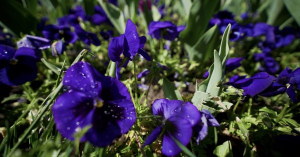 В течение дня по всей стране будет солнечно, нагреваясь