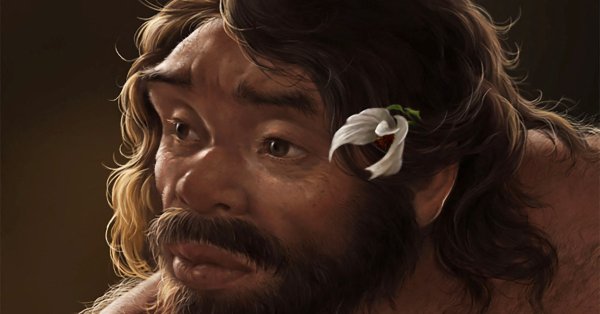 Череп в 1 миллион лет может переписать человеческую эволюцию