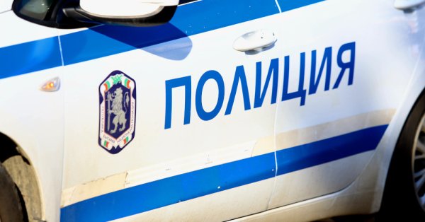 Два мальчика получили ранения после того, как их машина ударила по дикой свиньи и дереву.