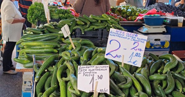 Пенсионеры жалуются на рынок: мне кажется очень дорого