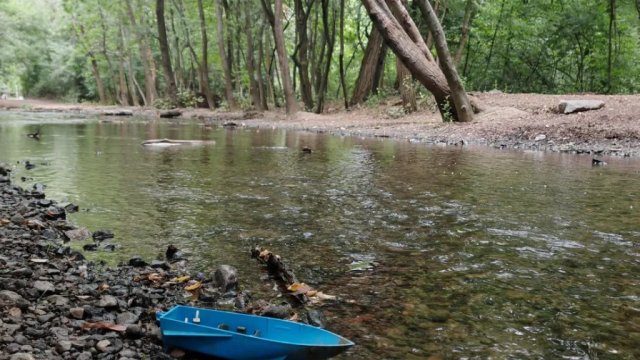 Могут ли реки стать социальными пространствами и частью нашей активной городской жизни