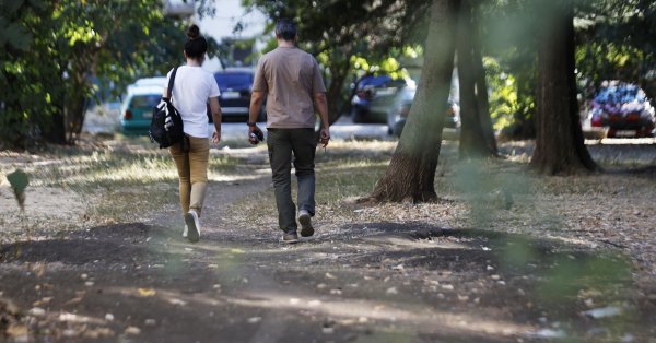 Вот какая погода будет завтра