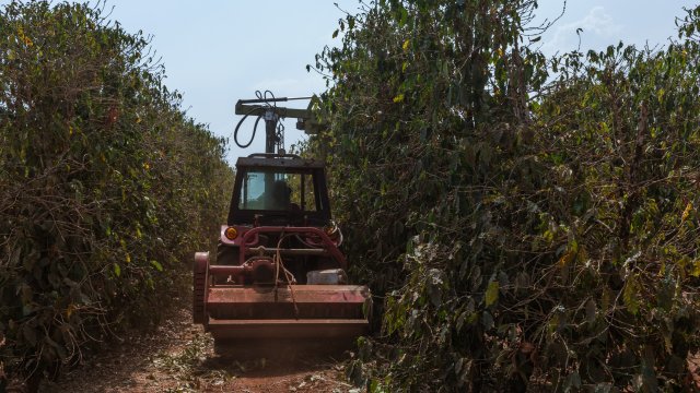 Новые опасения по поводу урожая Бразилии принесли цену кофе на рекорд