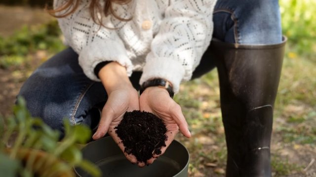 Может ли гражданская наука решить изменение климата