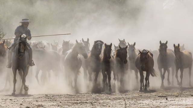 Кадр дня 7 сентября