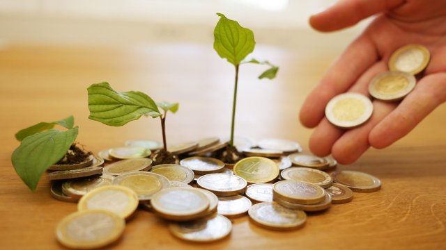 Экосистема предпринимателей риска в Болгарии ждет нового подъема