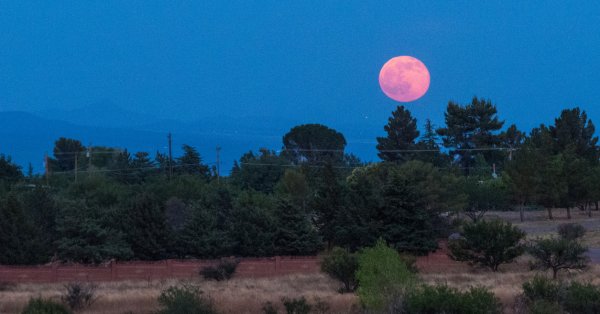 Марс проходит через Весы: чего ожидать от этого огненного транспорта