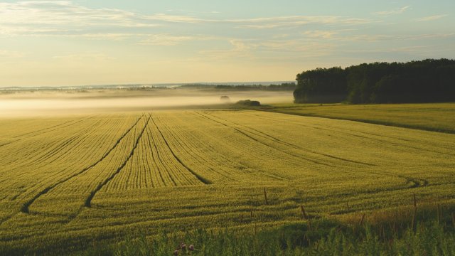 Advance Terrafond продал в 6,5 раз больше земли до августа этого года