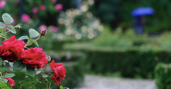 Холодный воздух вторгается завтра, в местах он будет ошеломлять