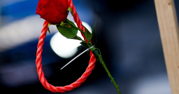 Ужасный взгляд: студент был найден повешенным на дереве в университетском городке