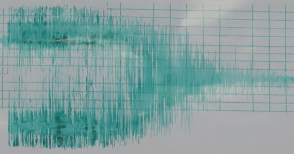 Новое землетрясение в Камчатке было выпущено предупреждение о цунами