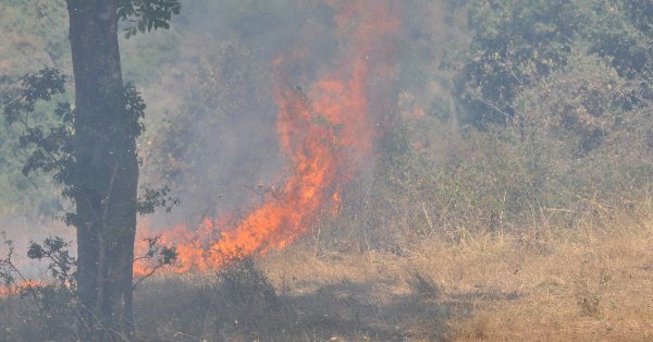 Частичный стресс был объявлен в Свиленграде из -за пожара на горе Сакар