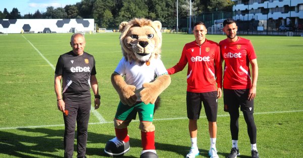 Болгарские граждане выходят, по крайней мере, на точку против Испании