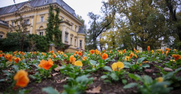 Понедельник начинается с облаков и дождя, днем - солнце