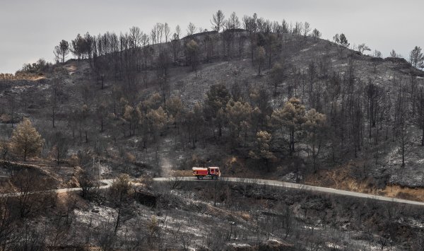 Как в Европе сжигало район размером с кипр в лесных пожарах этим летом