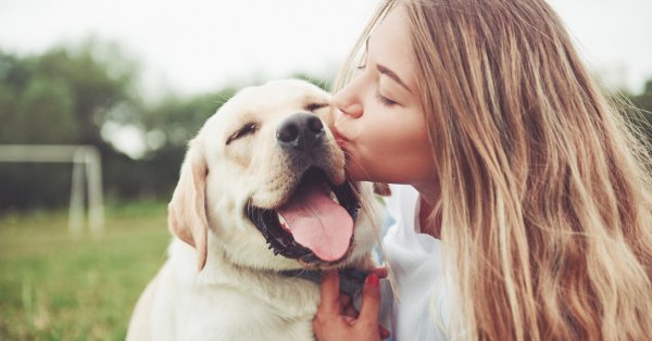 5 лучших пород собак для семей