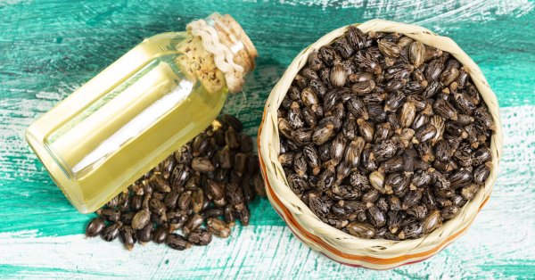 Мощные маски с касторовым маслом останавливают выпадение волос