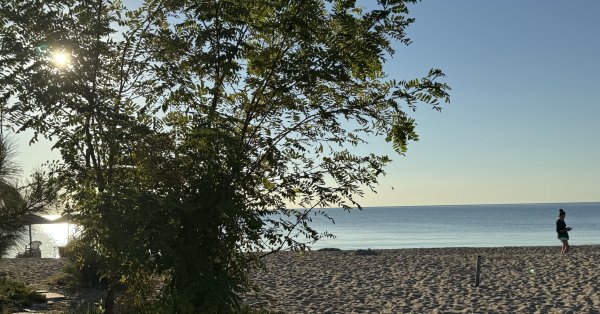 Солнечно и тепло будет сегодня, до 30 °