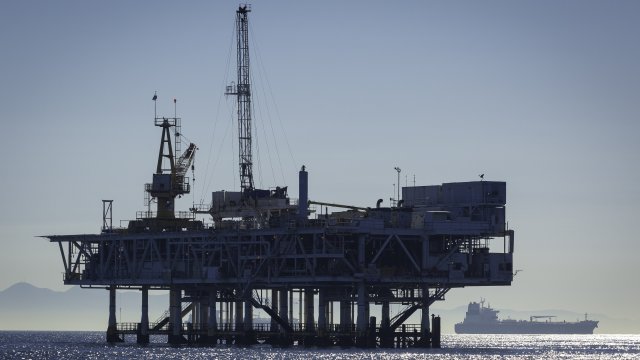 Хроническая ценовая волатильность становится новой нормой для масла