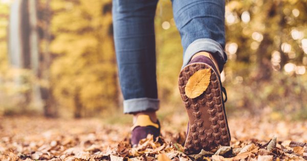 Гороскоп на неделю - чего ожидать какого -либо знака зодиака