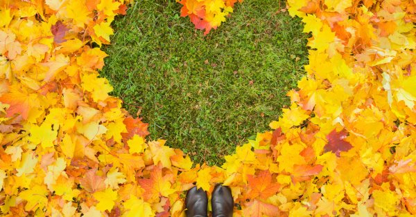 Что ждет вас влюбленных на этой неделе?