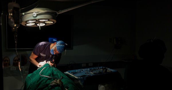 Итальянская бизнесвумен умерла после пластической операции в Турции