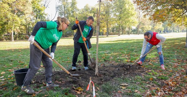 Coca-Cola HBK отмечает 60-летие Coca-Cola в Болгарии, посадив 60 деревьев в центре Софии