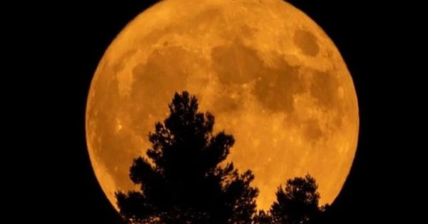 Луна урожая будет показана во вторник