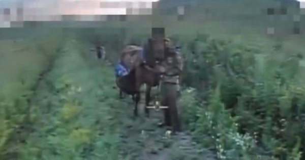 Украина уничтожила одну из кавалерийских частей России