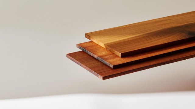 Ученые создали дерево, которое в десять раз прочнее стали