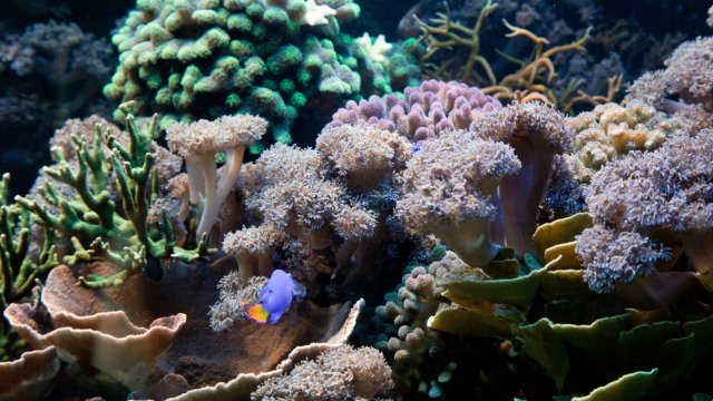 Мир проходит через точки климатического круиза раньше, чем ожидалось