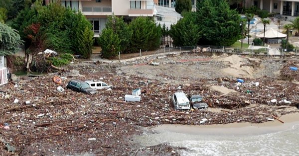 Ограничьте доступ к оленям в ближайшие дни